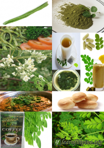 All parts of Moringa are edible; great for tea, coffee, soups, pasta and many more