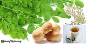 Moringa is used as ingredients for Pandesal, a well known bread in the Philippines.