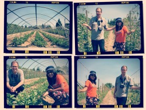 Farm in California that grows tropical vegetables operated by a Filipino