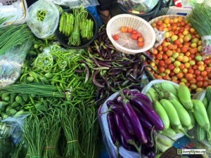 Fresh Tropical Vegetables in the Philippines
