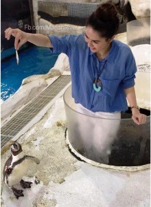 marian rivera feeding fish Manila Ocean