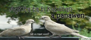 Ilocano Translation - Let us meet soon! - Agkita ta ti kabiitan a panawen.