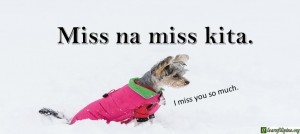 Tagalog Translation - I miss you so much. - Miss na miss kita.