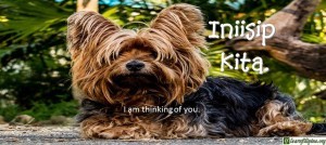 Tagalog Translation - I am thinking of you. - Iniisip kita.