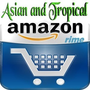 Asian and Tropical - Amazon.com -Your place to shop Asian and tropical Novelty shirts.