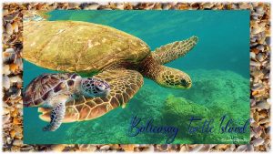 Balicasag Turtle Island, Philippine beach