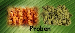 Philippines Street Foods - Proben